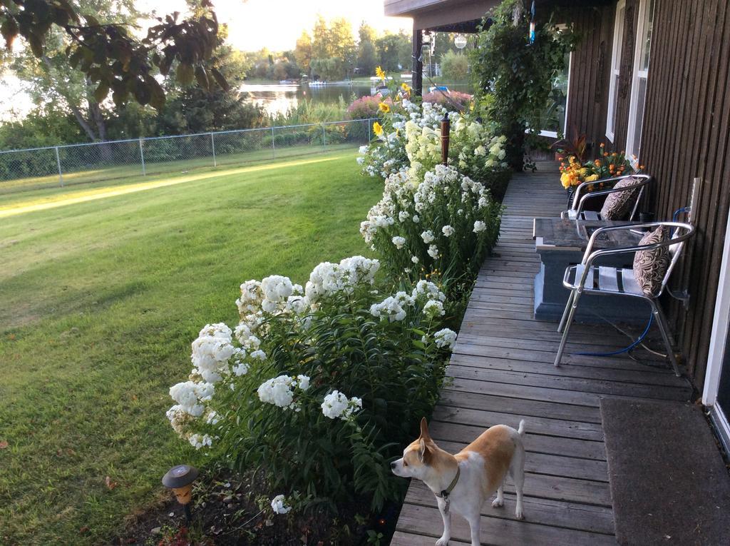 Robert'S Roost Rv Park Resort 克内尔 外观 照片
