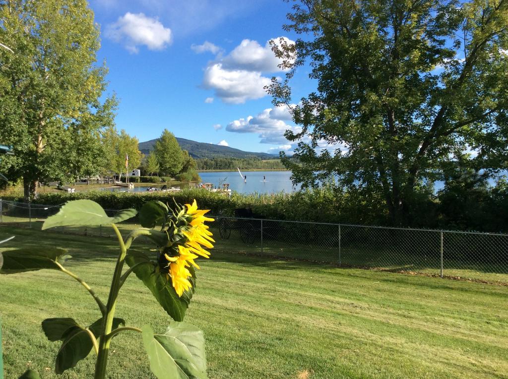 Robert'S Roost Rv Park Resort 克内尔 外观 照片